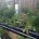 Aquaponics Hybrid Urban Growing Systems introduced by Sahib Aquaponics