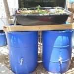 Sahib introduces Aquavermiponics Systems